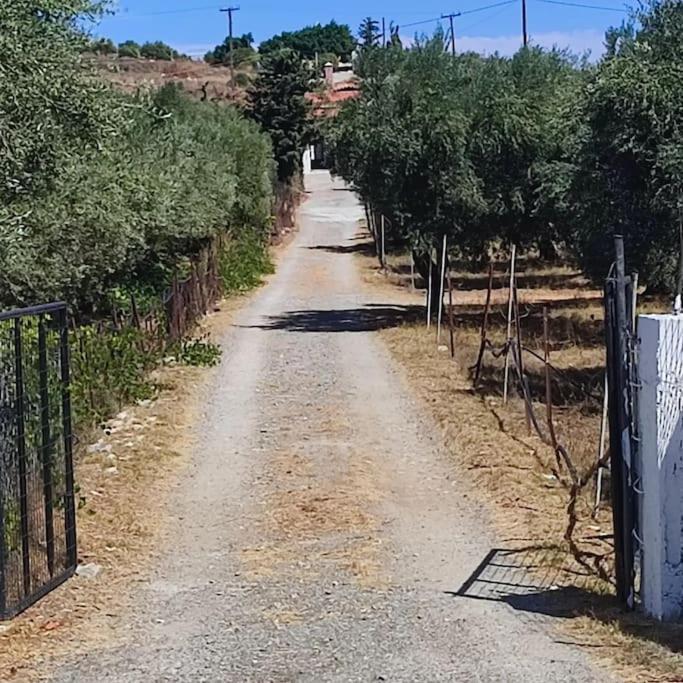 Olive Grove Cottage Skalani Knossós Extérieur photo