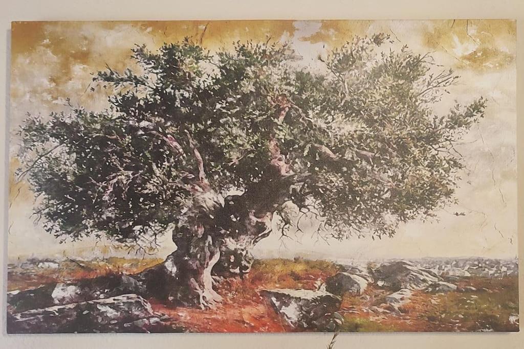 Olive Grove Cottage Skalani Knossós Extérieur photo